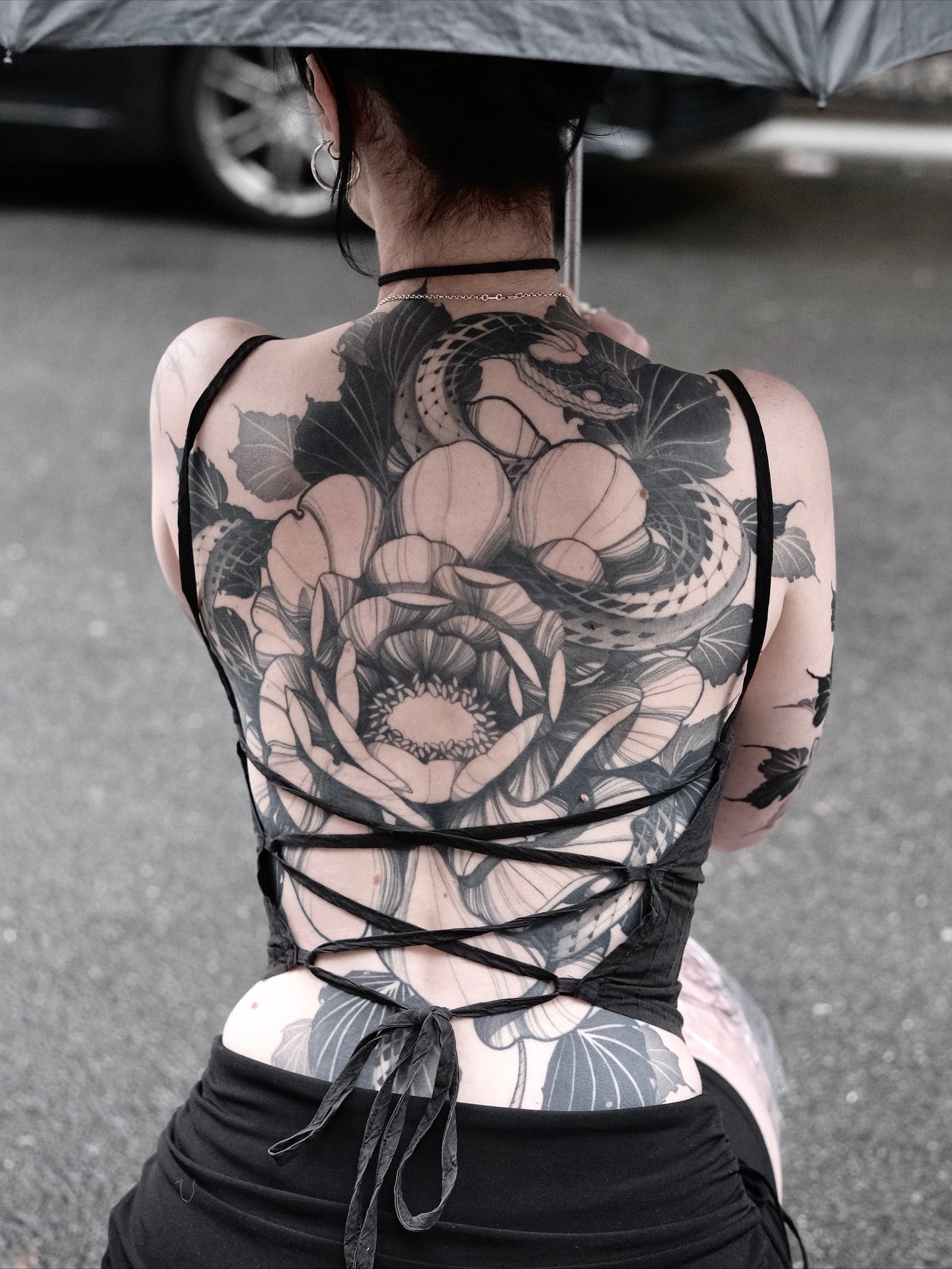 Flower, Rose, Nature