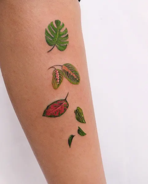Flower, Rose, 잎, 은행잎