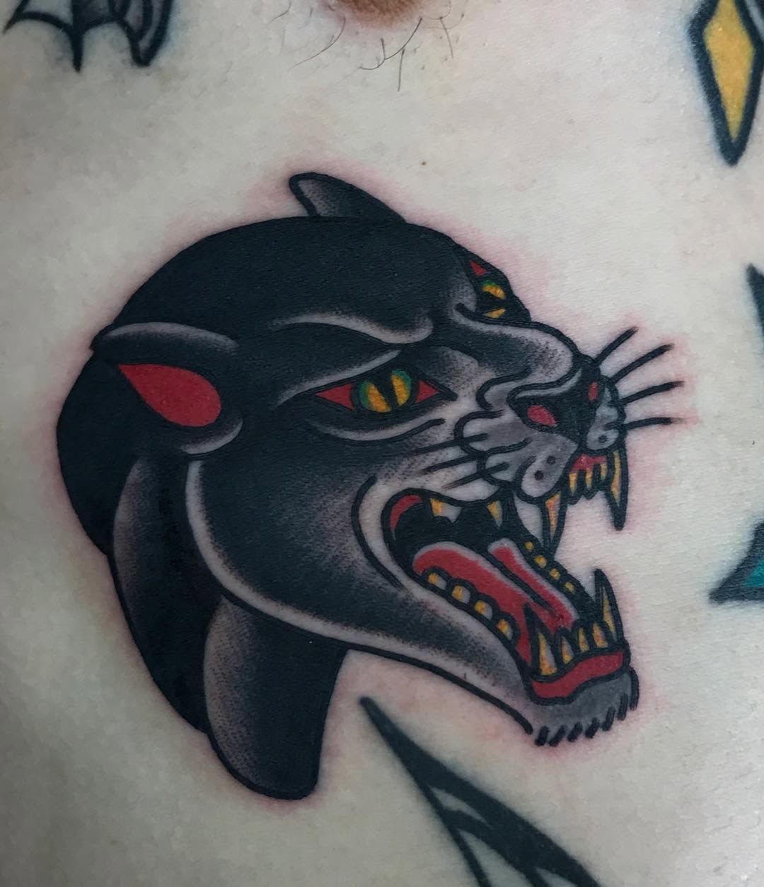 Tiger, Animal