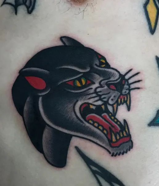 Tiger, Animal