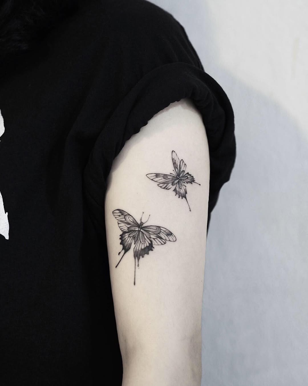 Animal, Nature