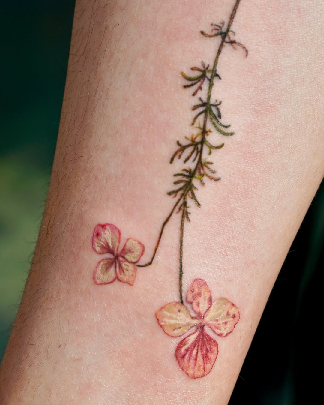 Flower