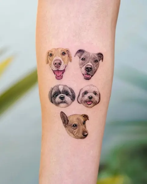 Animal