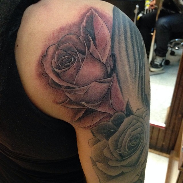 Flower, Rose, Nature