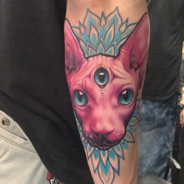 Animal