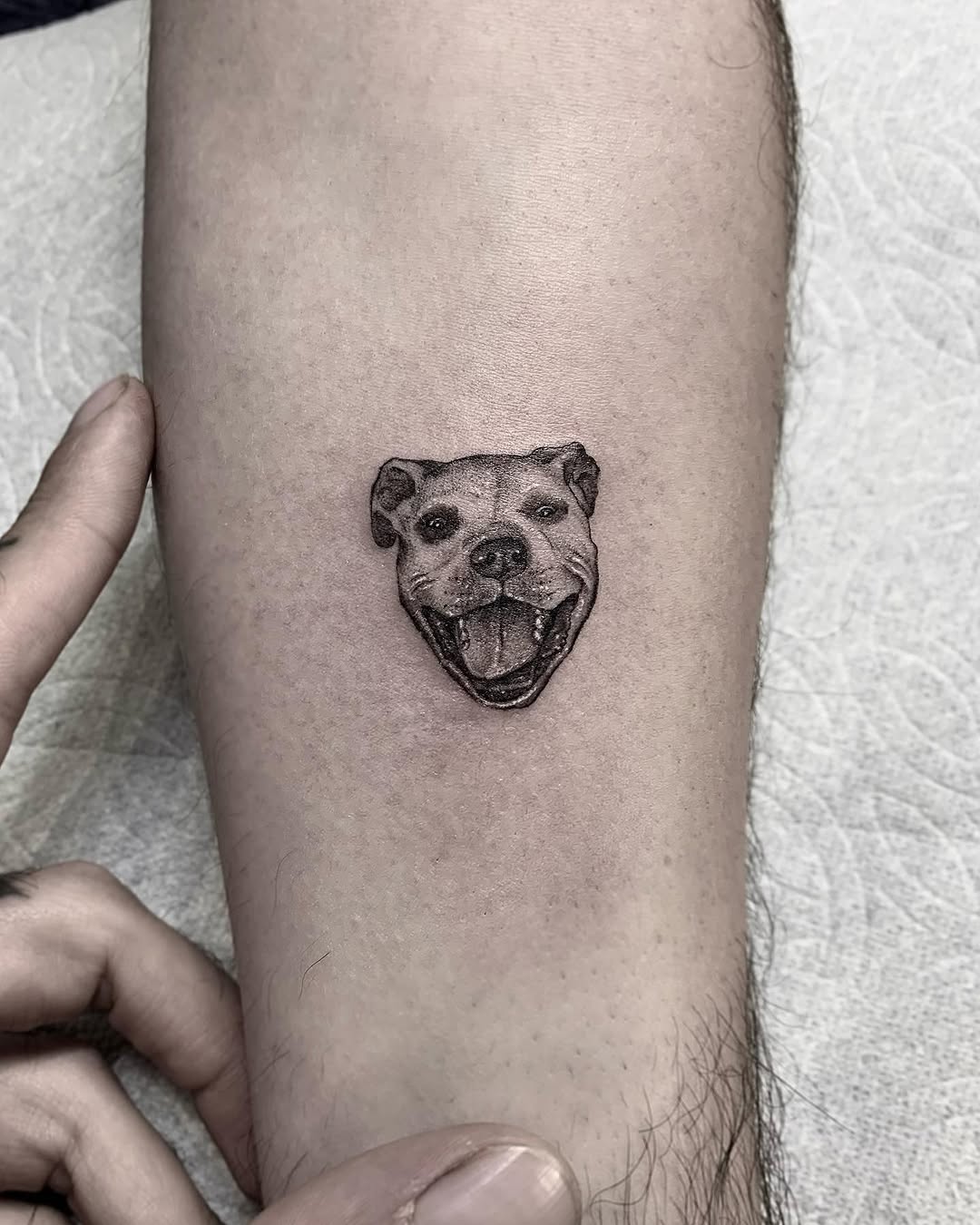 romeolacoste