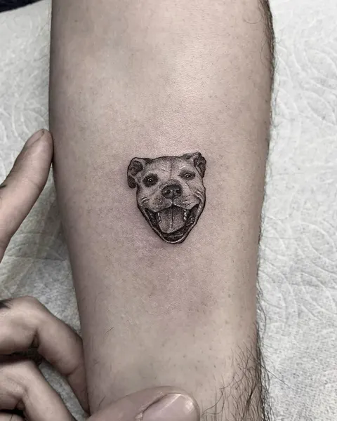 romeolacoste