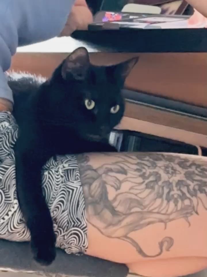 sasha.zhaba