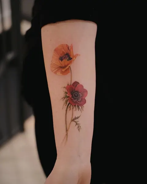 Flower, Rose, 양귀비