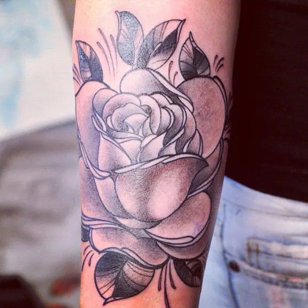 Flower, Rose