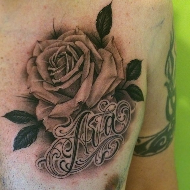 Flower, Rose, Nature