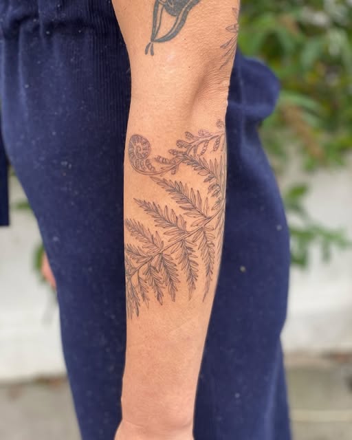 Flower, 고사리, 단풍잎