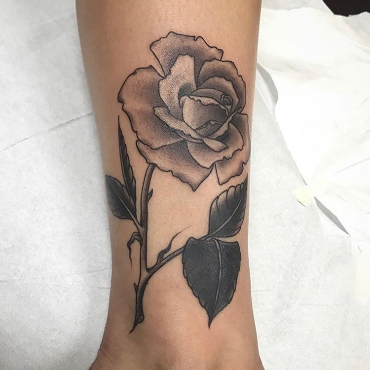 Flower, Rose