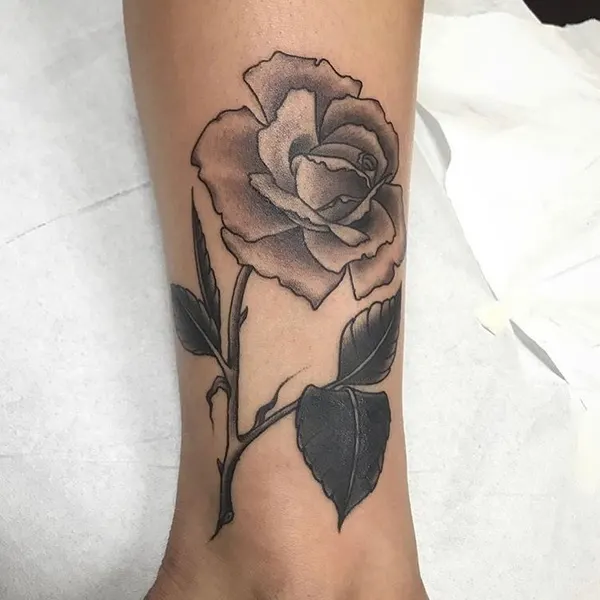Flower, Rose