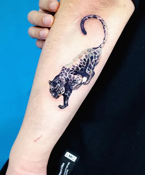 Tiger, 표범, 팬서, 치타, Animal