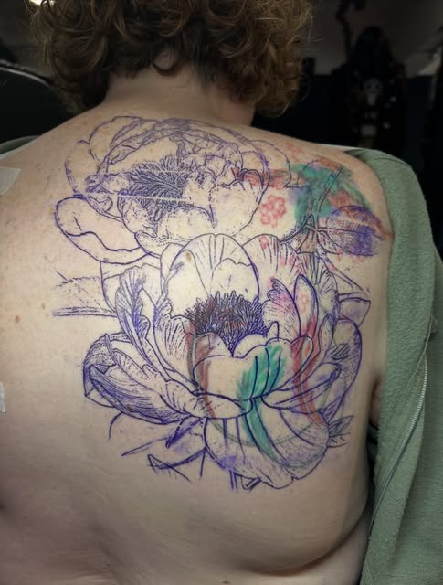 Flower, Rose, Nature