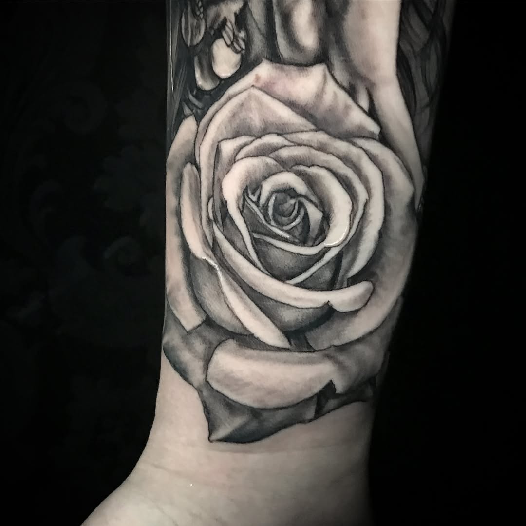 Flower, Rose