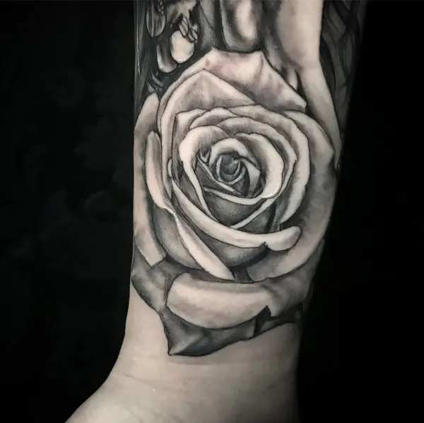 Flower, Rose