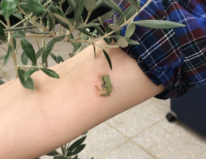 개구리