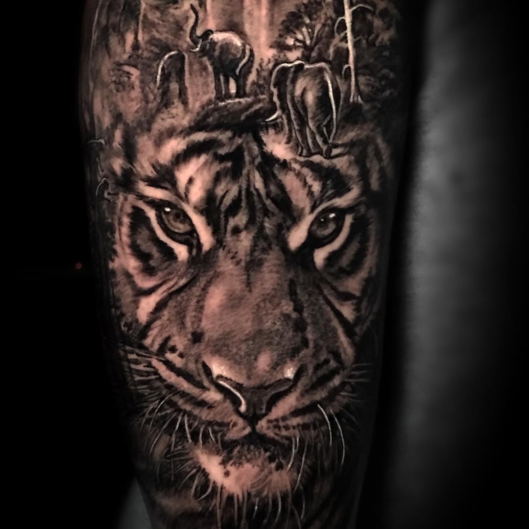 Tiger