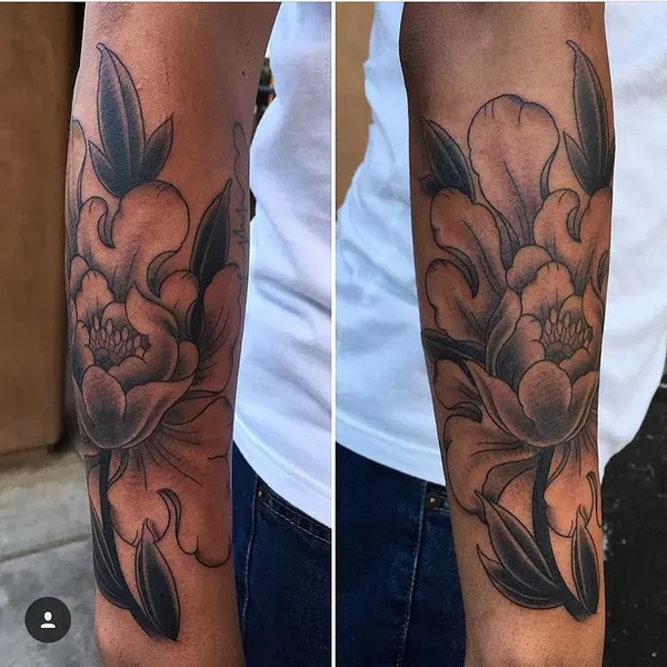 Flower, Rose