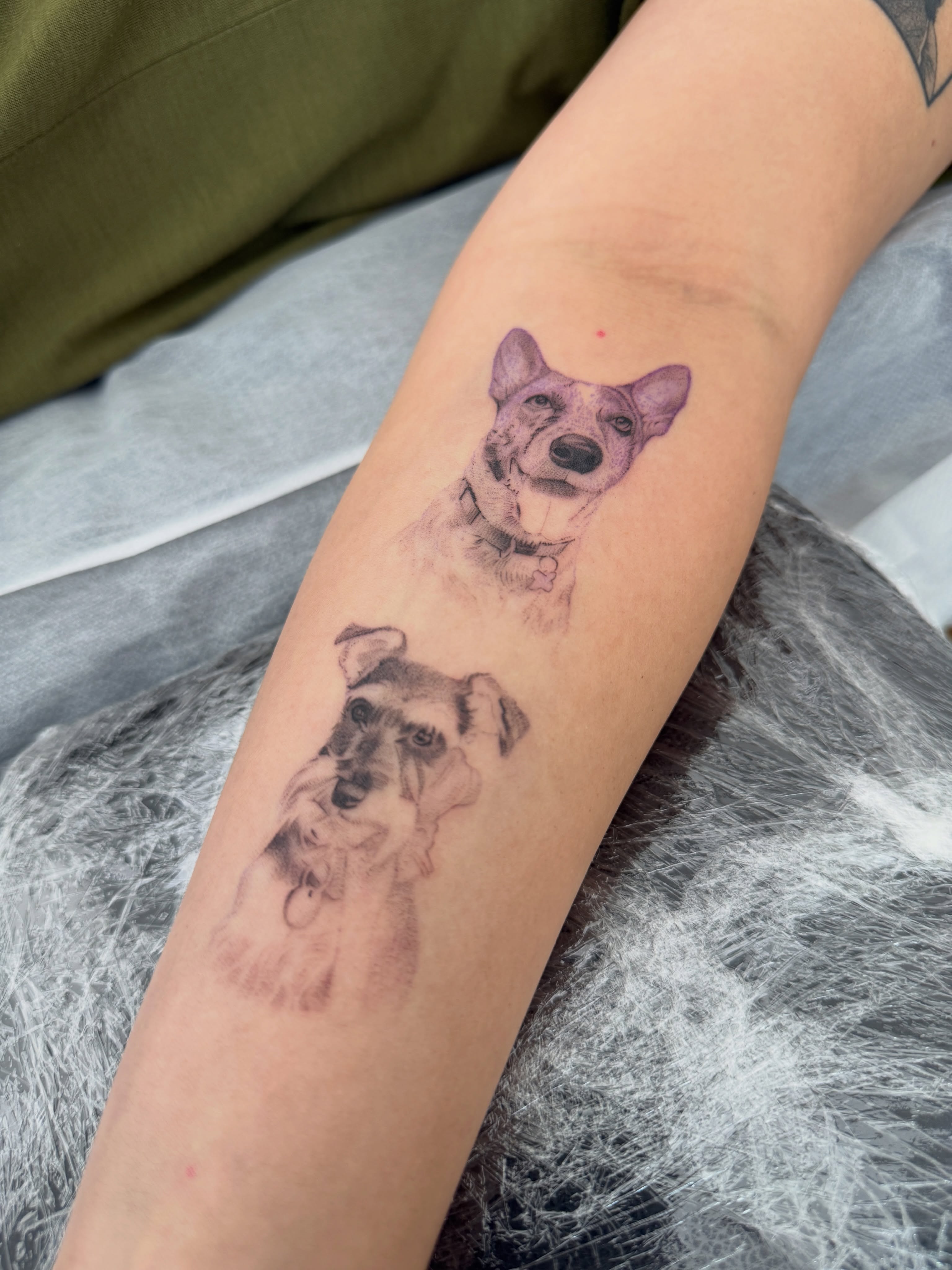 nandotattooer
