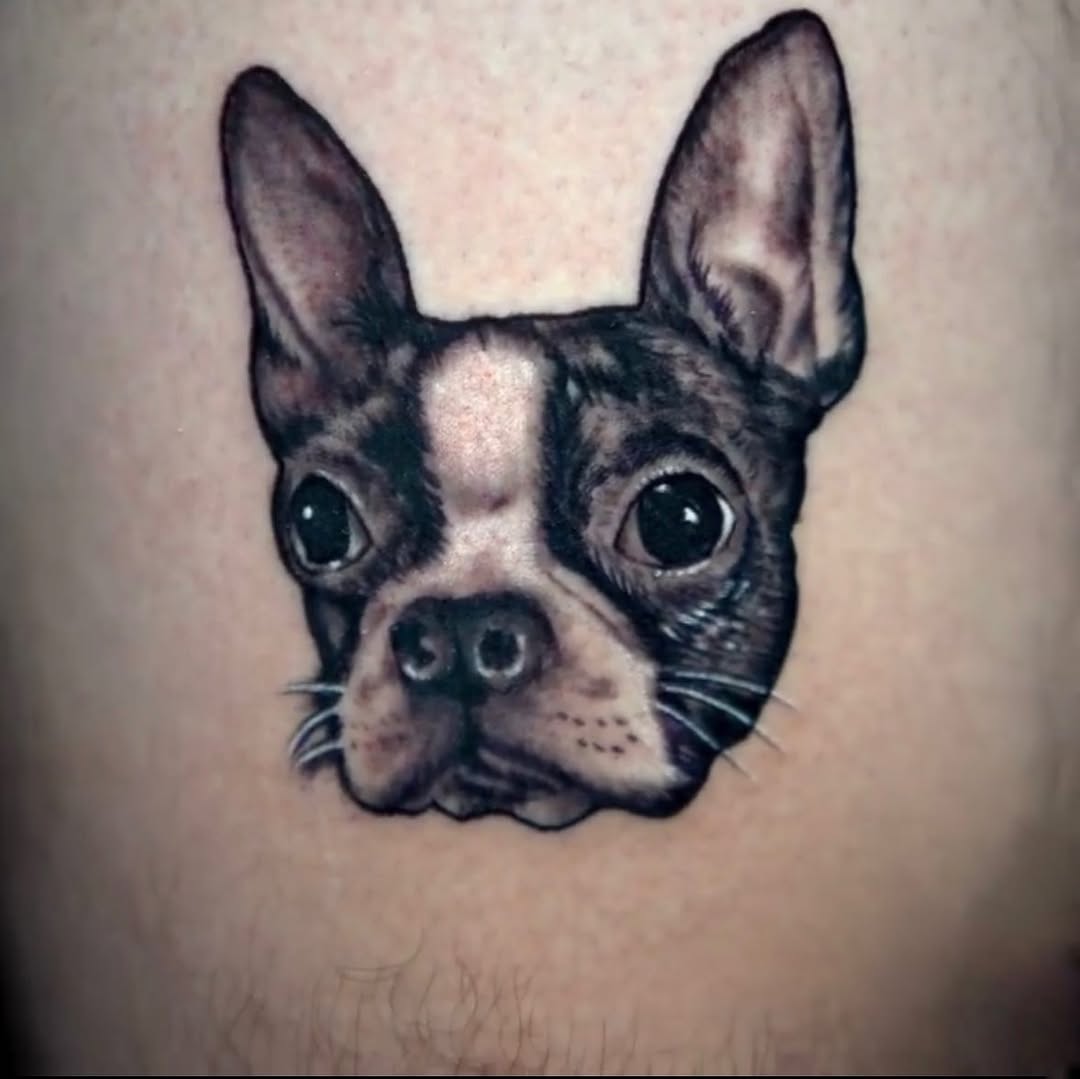 Animal