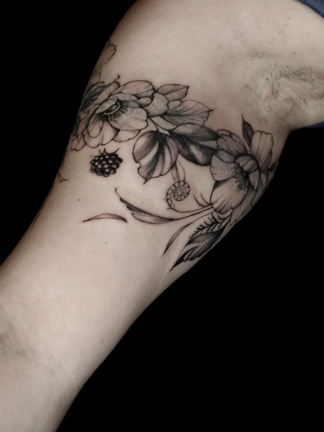 Flower, Rose, Nature