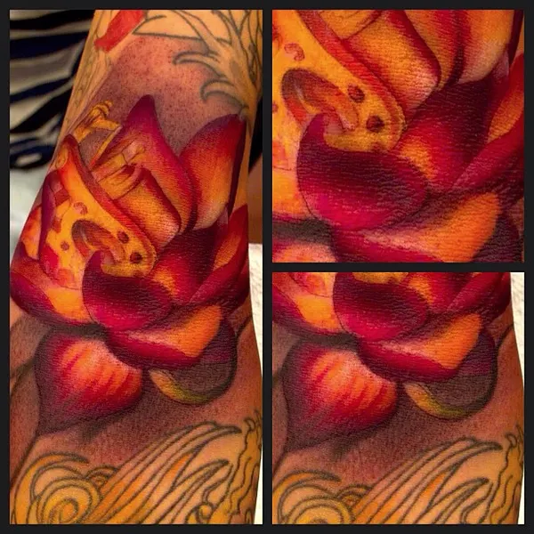 Flower, Rose