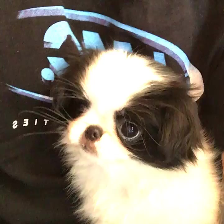 Milo._.club