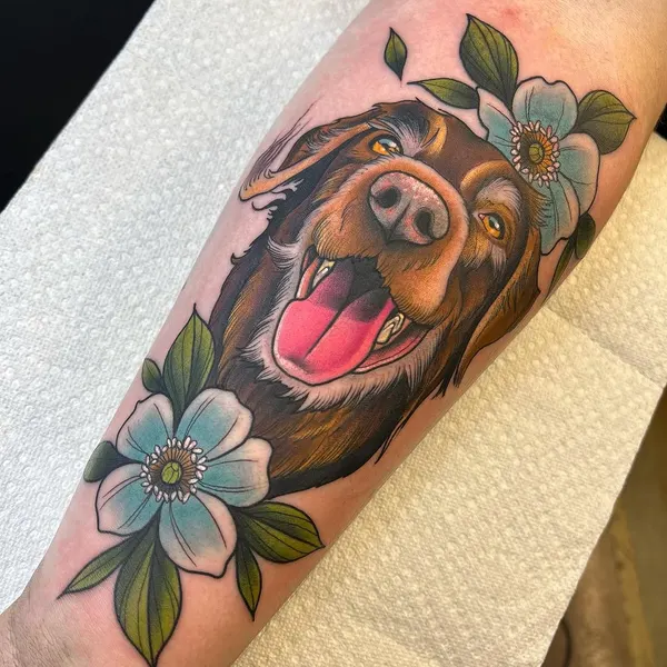 Animal