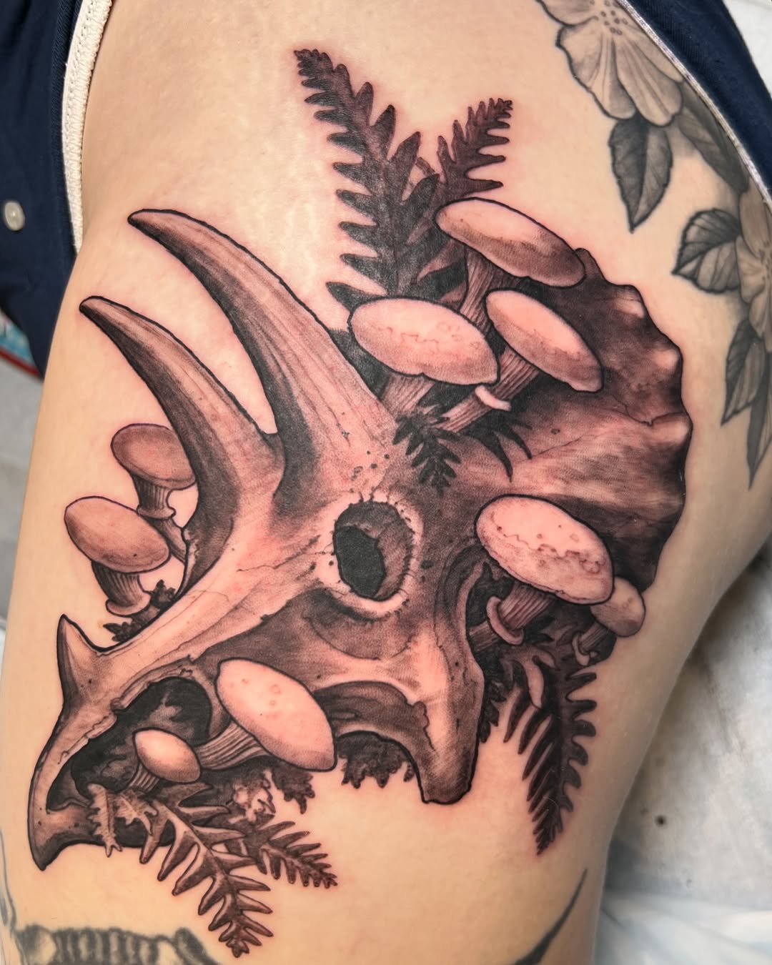 shawn_hebrank