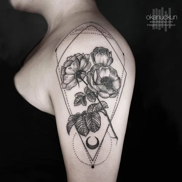 Flower, Rose, Nature