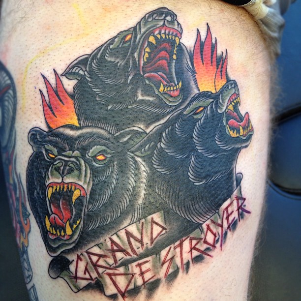 Animal, Tiger