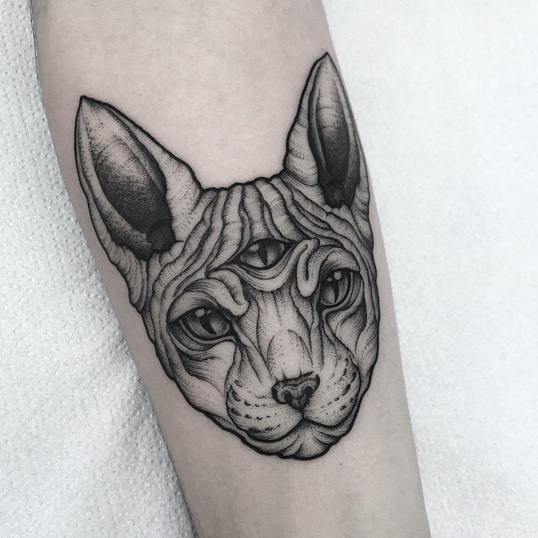 Animal