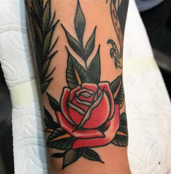 Flower, Rose