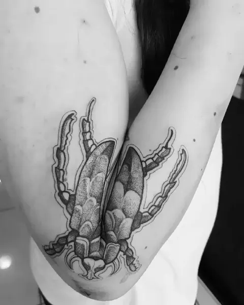 equilattera
