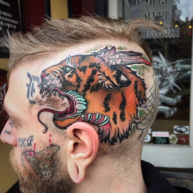 Tiger, Animal