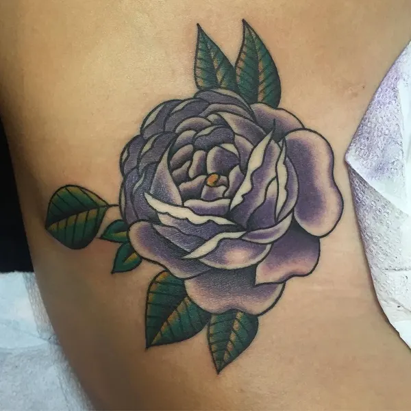 Flower, Rose, Nature