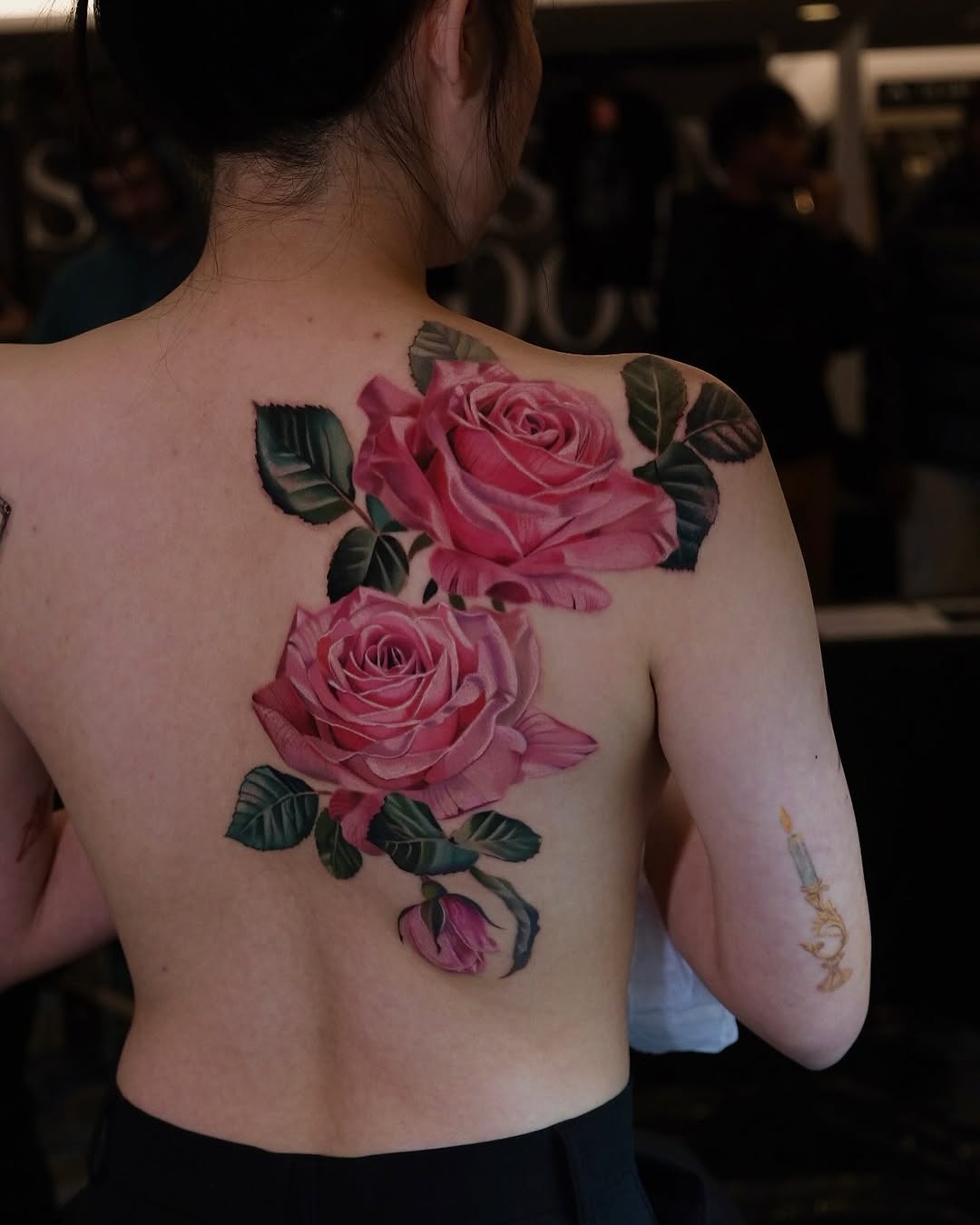 Flower, Nature, Rose