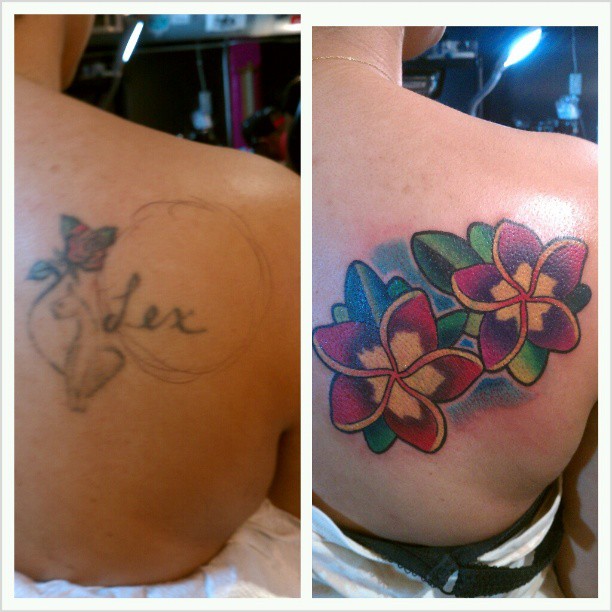 Flower, Nature, Rose