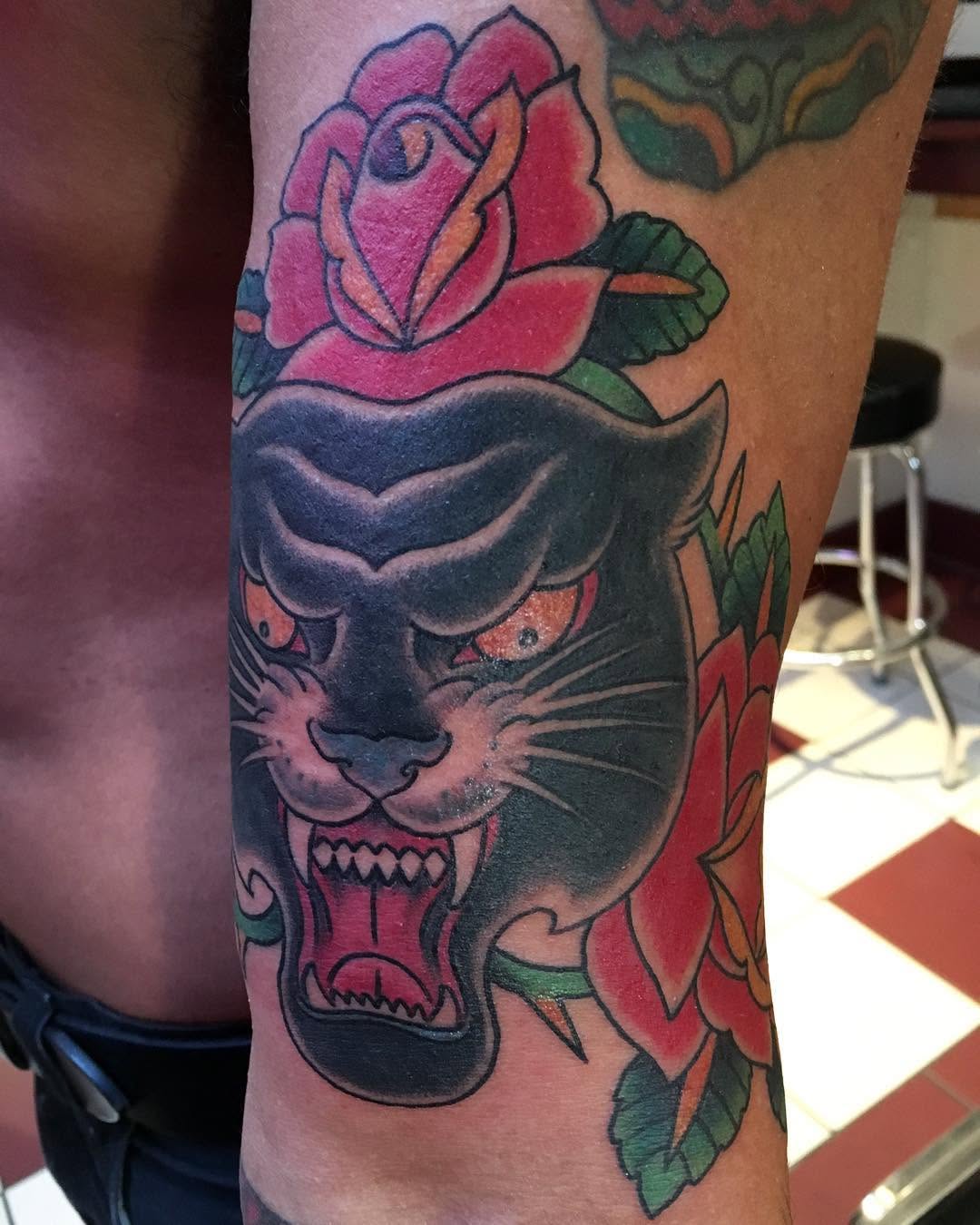 Animal, Tiger