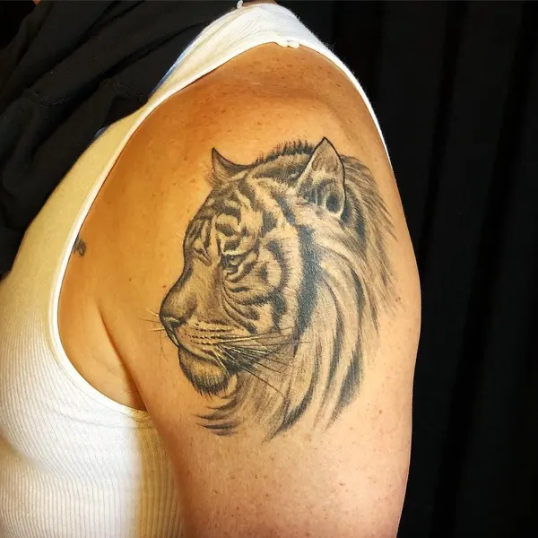 Tiger