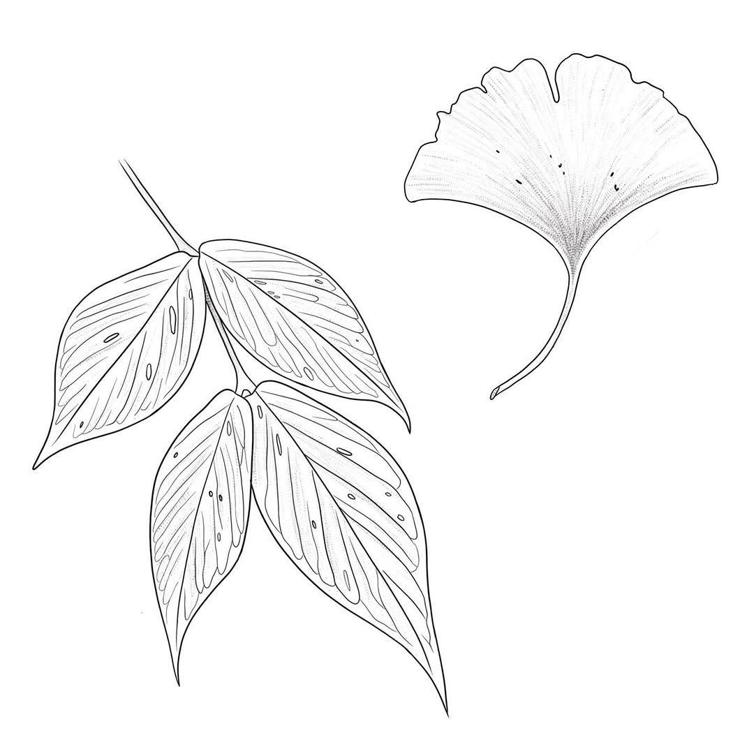 plantsnpokes