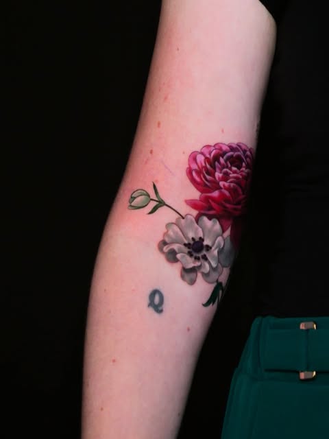 Flower, Rose, Nature
