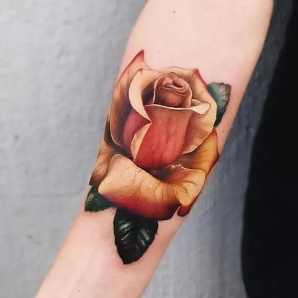 Flower, Rose