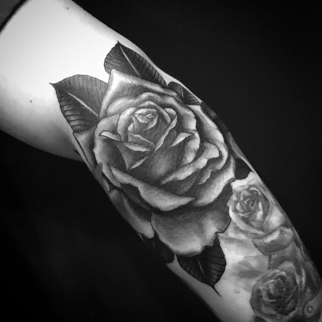 Flower, Rose