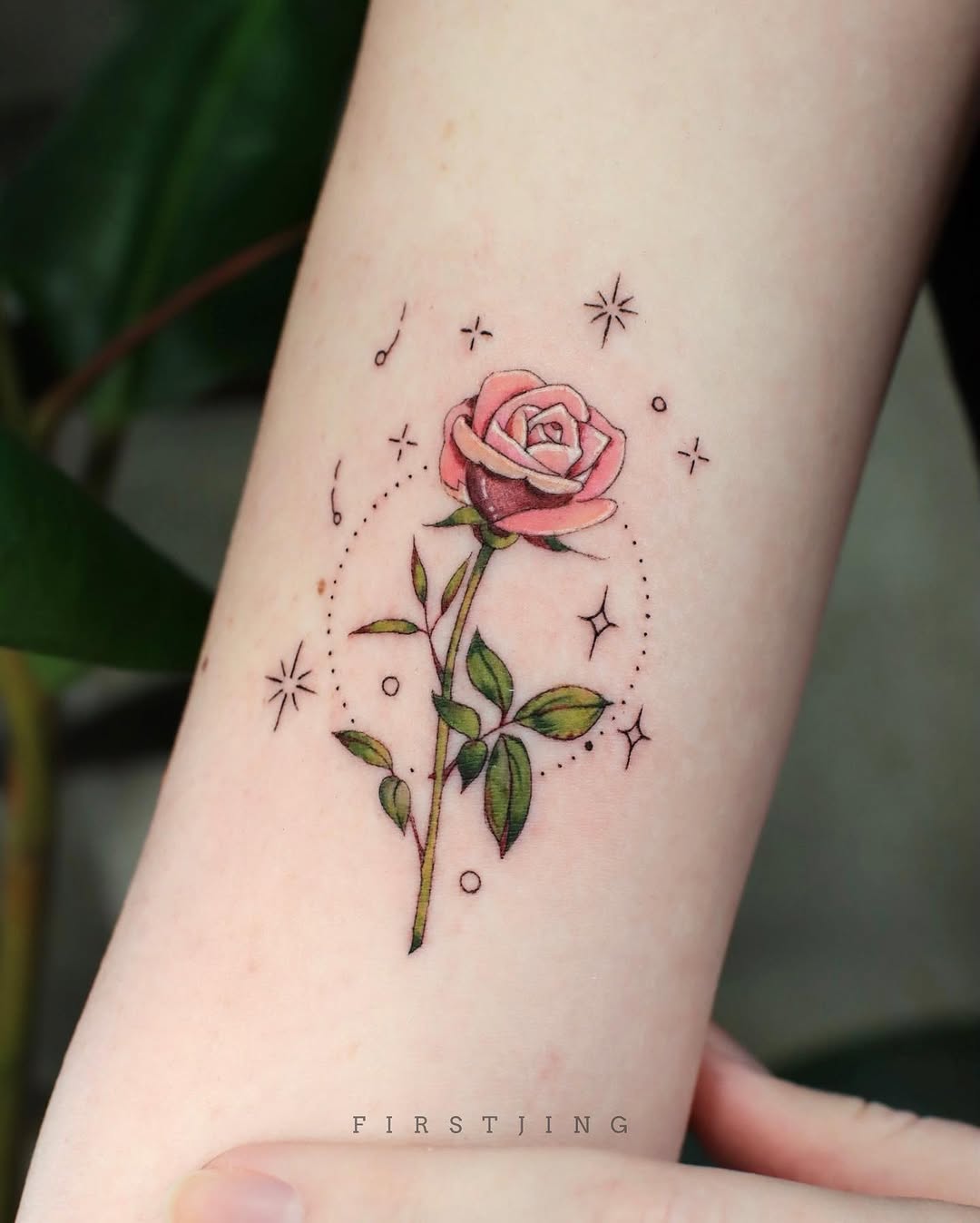 Flower, Rose