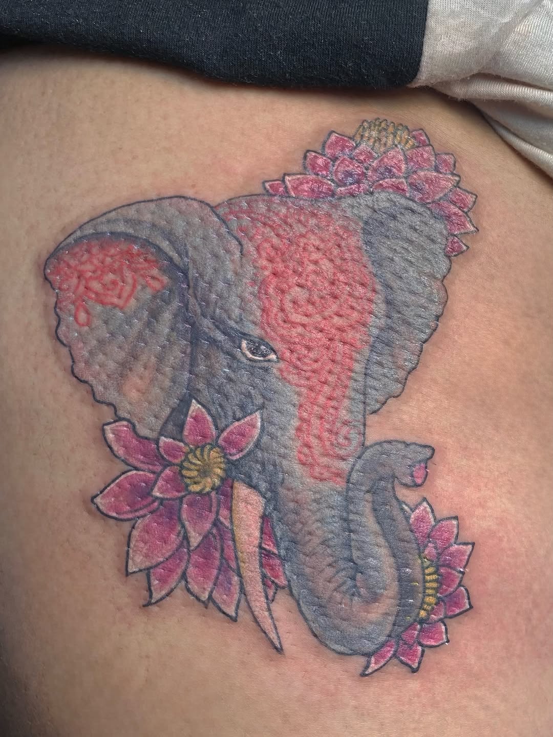 Flower, 코끼리