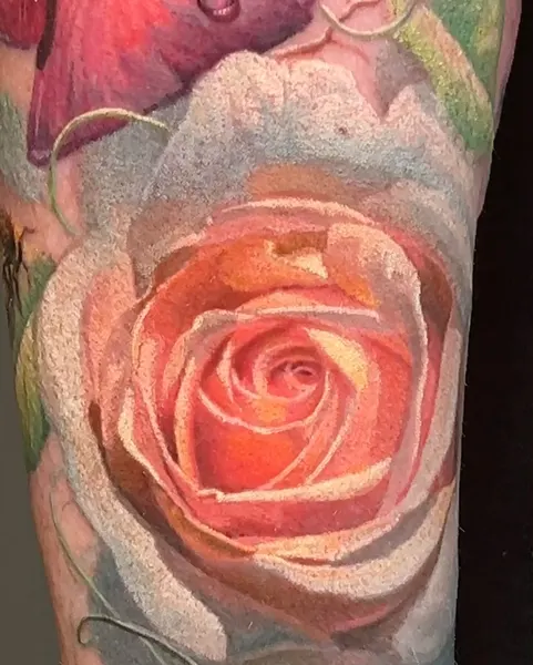 Flower, Rose
